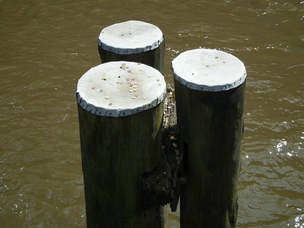 Das Geld liegt sprichwörtlich auf der Wasserstrasse