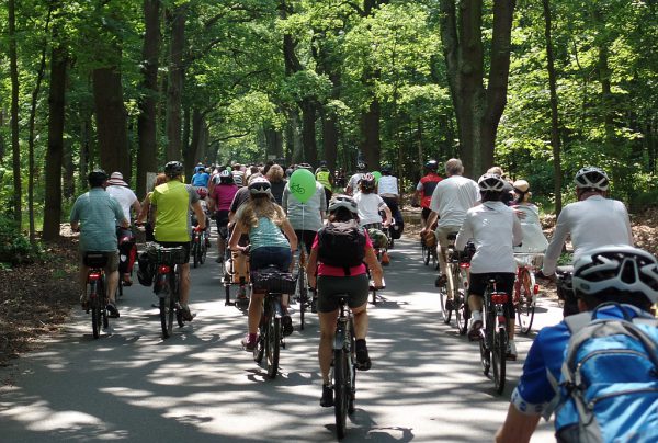 Bei Sonne durch den Grunewald