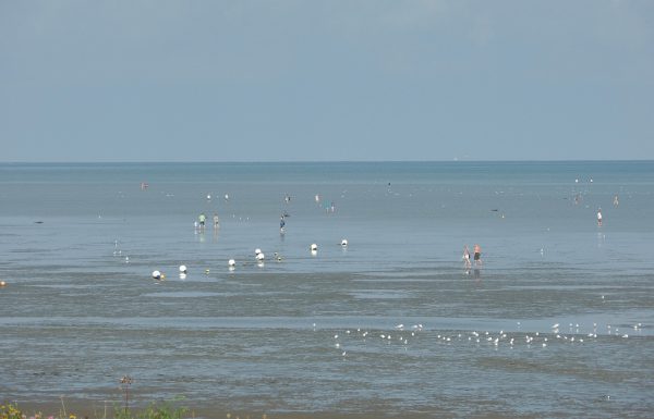 Wattenmeer Cuxhaven